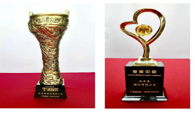 热烈祝贺九芝堂荣获2019年度中国医药市场营销青铜奖，与“爱暖中国——2020中国医药工业爱心公益企业”称号！